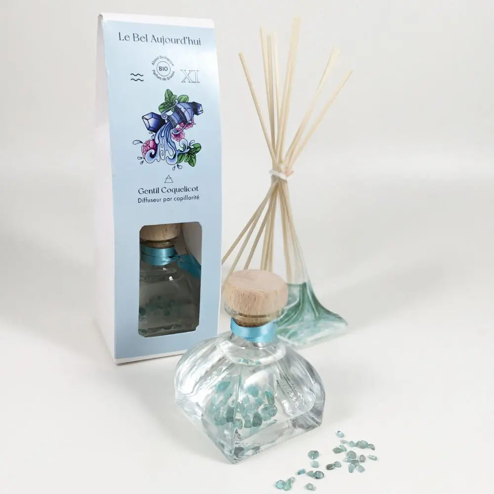 Verseau, Diffuseur 100 ml et Pierres Aigue Marine, Gentil Coquelicot