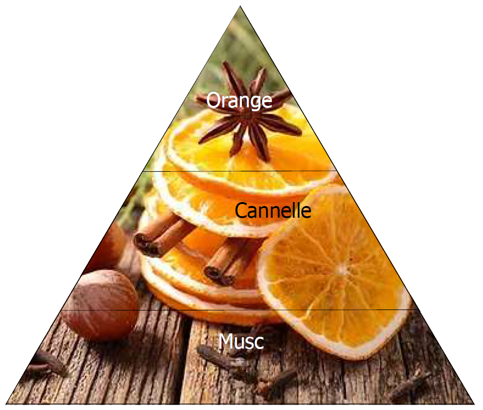 Bâtons à parfum CANNELLE ORANGE Lothantique - Cannelle Orange