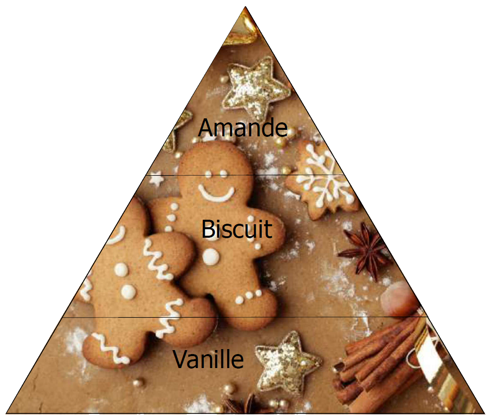 Bâtons à parfum BISCUIT ET VANILLE Lothantique - Noël gourmand
