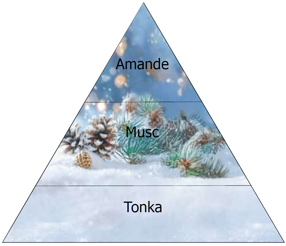 Coffret cadeau AMANDE ET TONKA Lothantique - Pomme des neiges