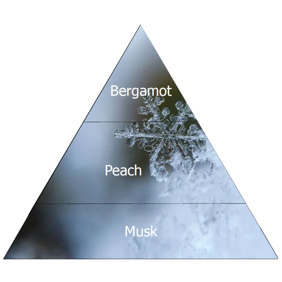 🆕Parfum d'ambiance 100ml BERGAMOTE ET PECHE Amélie et Mélanie - Etoile des neiges