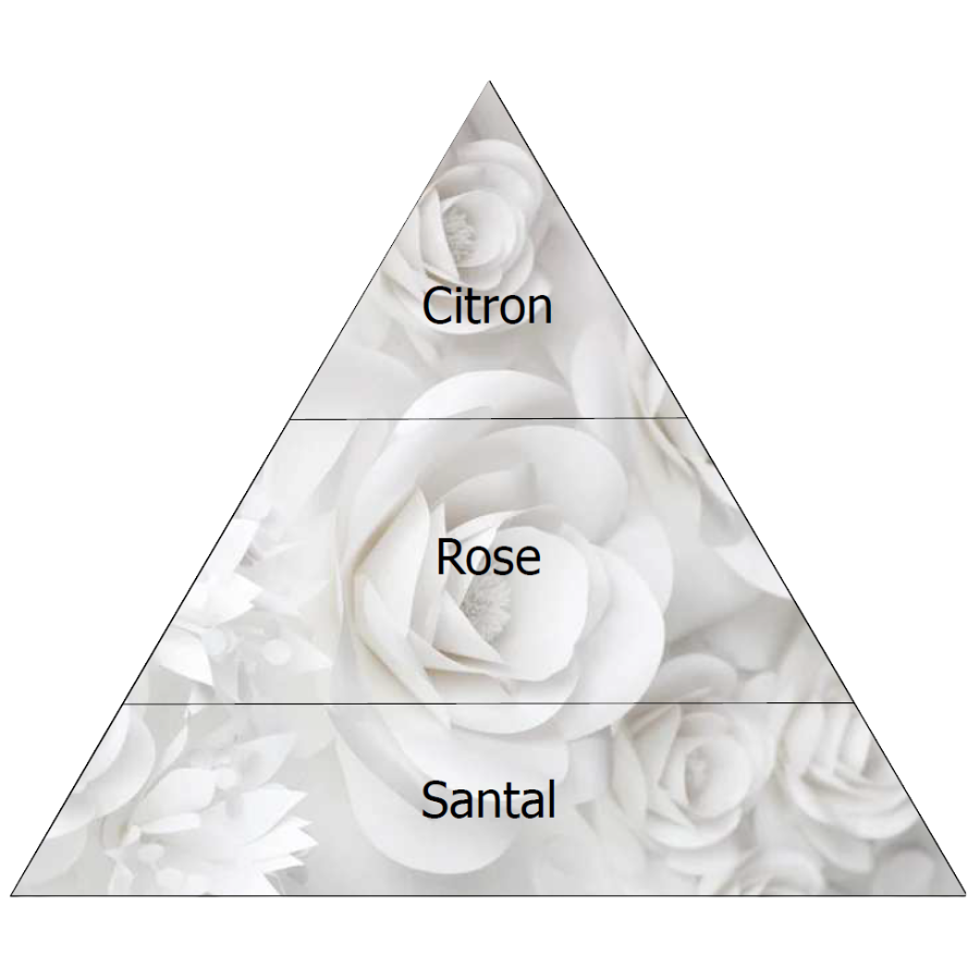 🆕Bâtons à parfum 500 ml ROSE ET SANTAL Amélie et Mélanie - Floralies