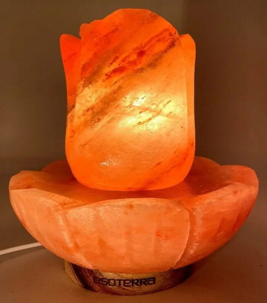 Lampe de Sel Lotus 5KG sur pied