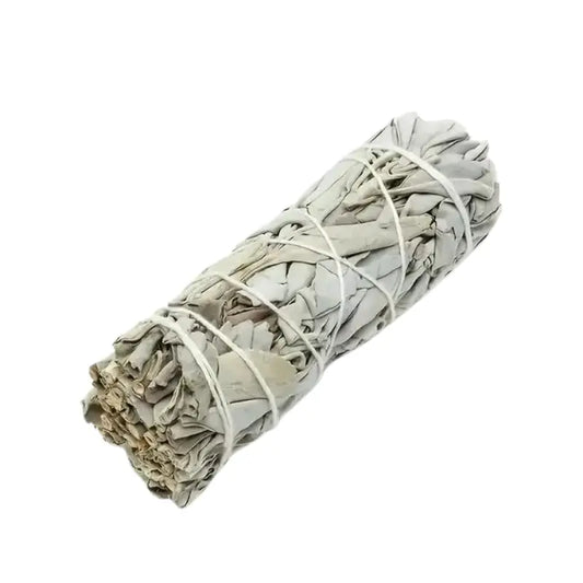 Sauge Blanche USA, 12cm, 25g