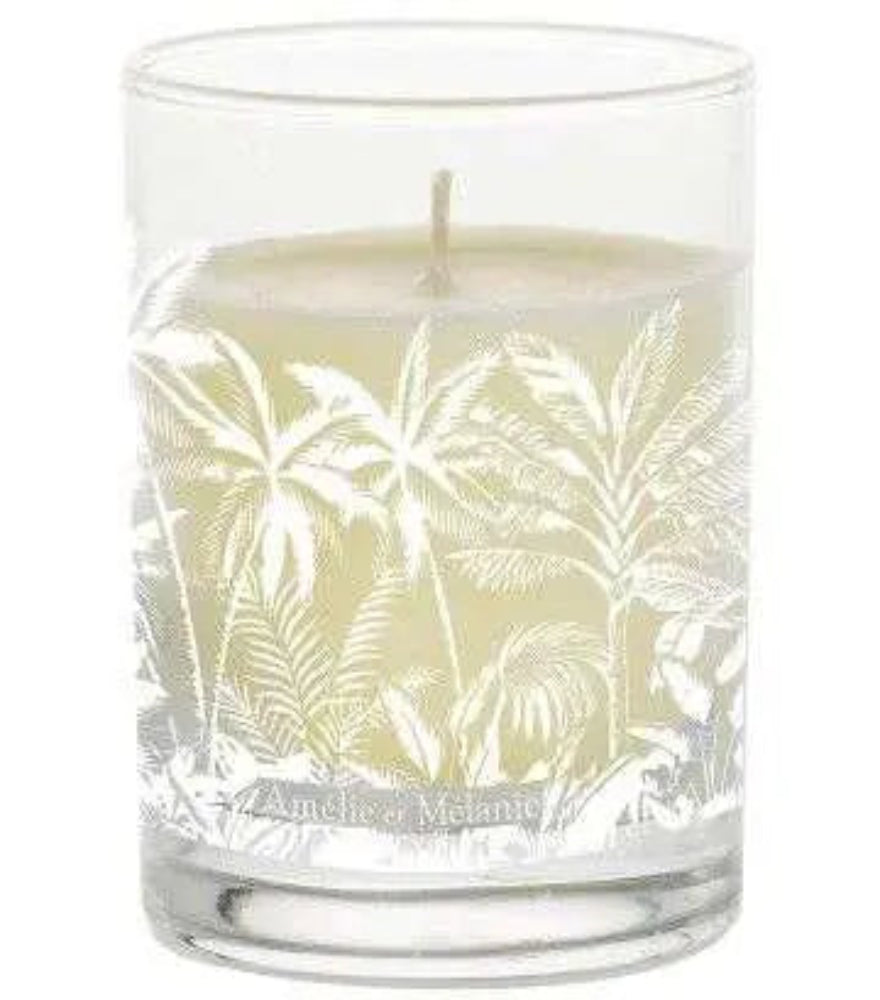 Bougie parfumée 160gr, Sous les Palmiers