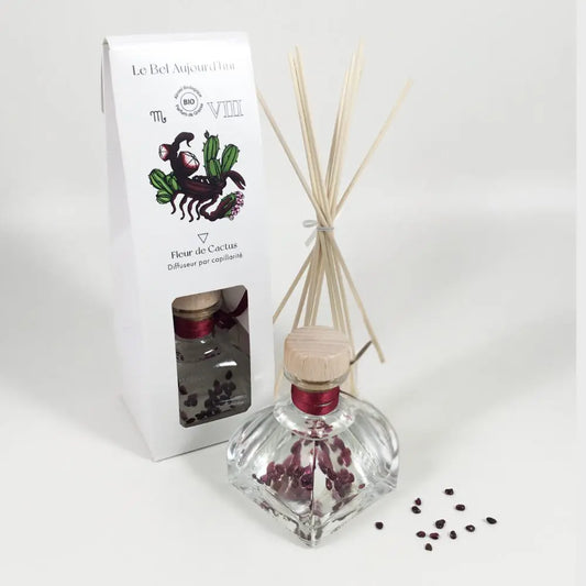 Scorpion, Diffuseur 100 ml et Pierres Grenat, Fleur de Cactus